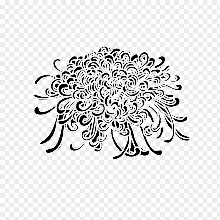 Elegant Chrysanthemum Drawing PNG