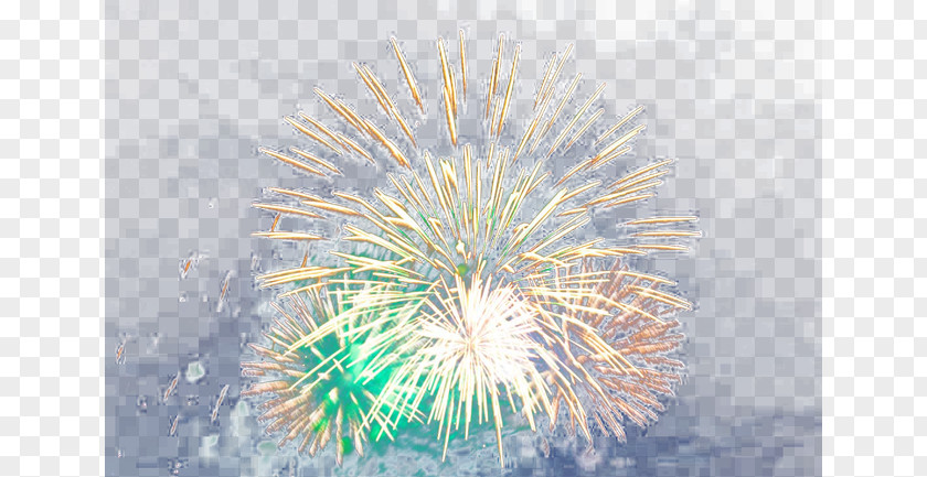 Festival Fireworks Sky Computer Wallpaper PNG