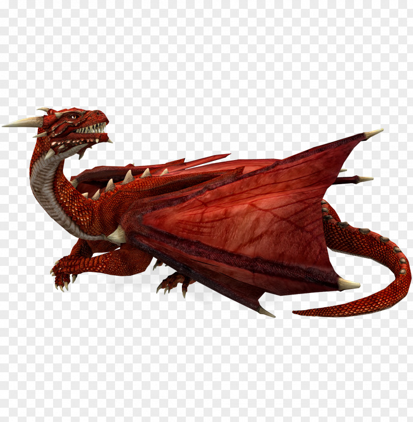 Free Red Dragon Domineering Pull The Material Legendary Creature Photography PNG