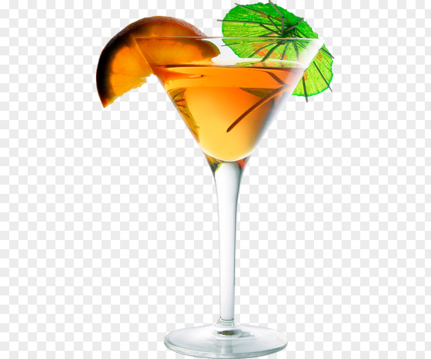 Gin Glass Cocktail Garnish Martini Sea Breeze Daiquiri PNG