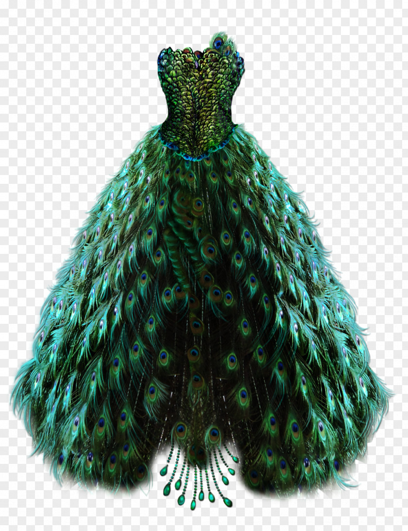 Peacock Wedding Dress Robe Peacocks Gown PNG