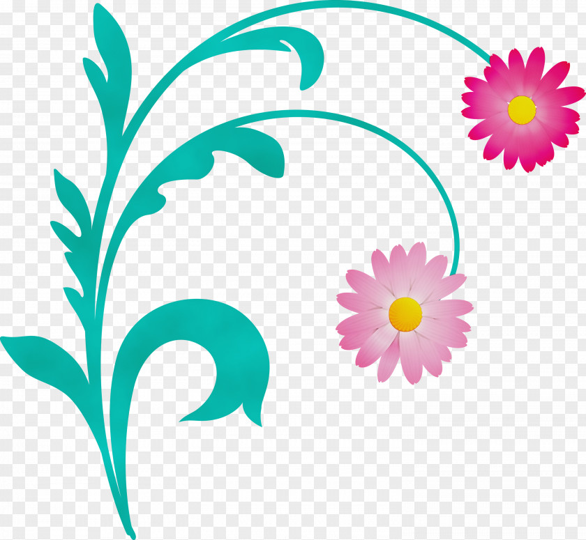 Plant Flower Chamomile Pedicel Wildflower PNG