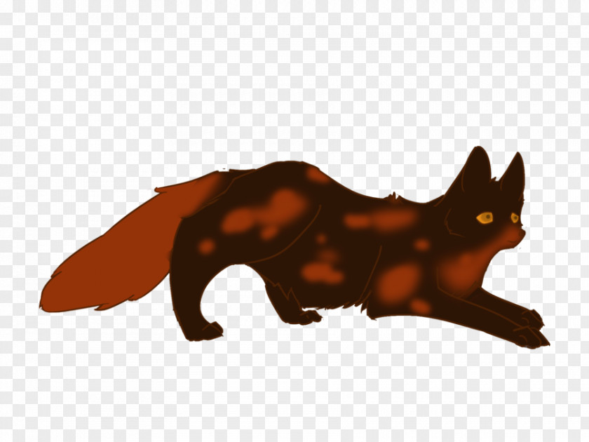 Red Tail Whiskers Fox Cat Snout PNG