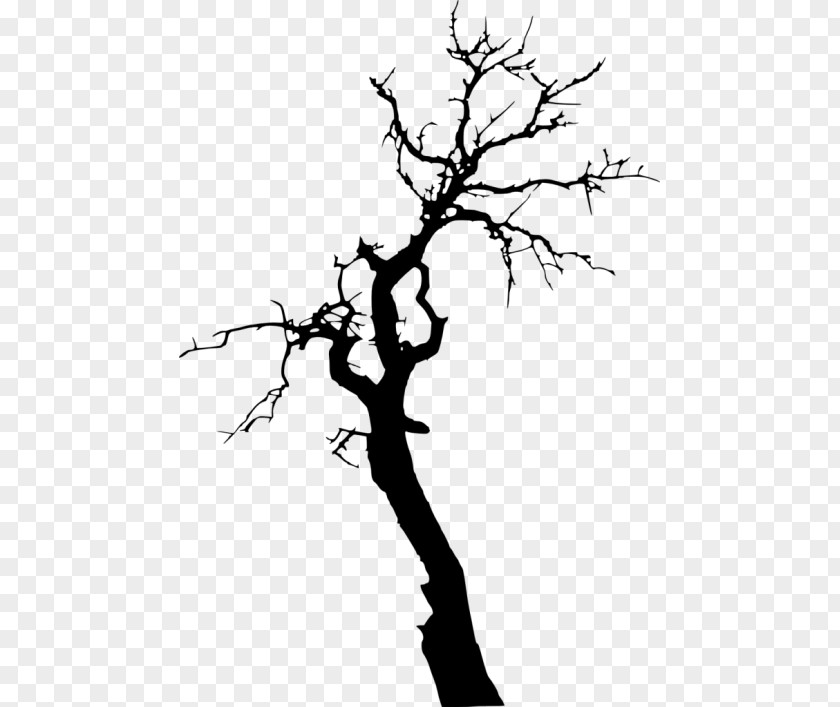 Silhouette Twig Tree Branch Drawing PNG