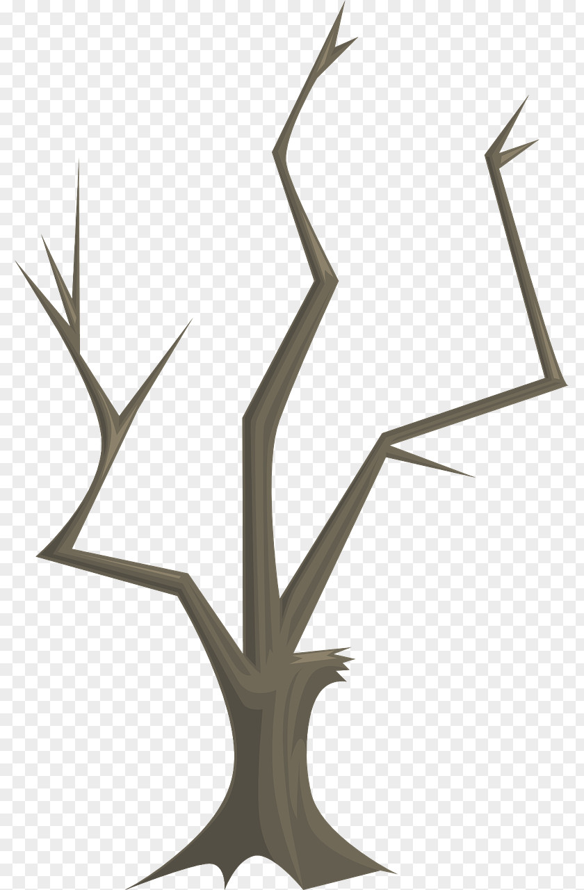 Tree Twig Branch Teradata Quiz Wood PNG