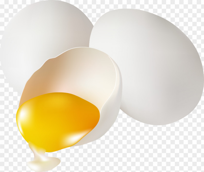 Vector White Egg Yolk Yellow PNG