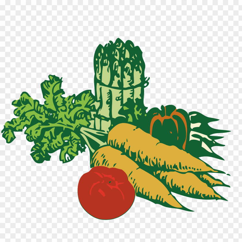 Vegetable Clip Art Gardening PNG