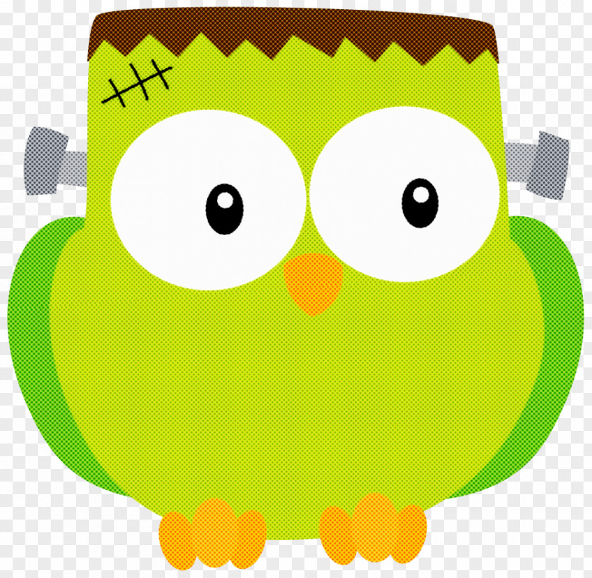 Green Cartoon Yellow Owl Bird PNG