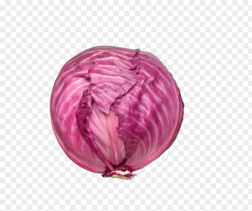 Red Cabbage Vegetables Vegetable Food Purple PNG