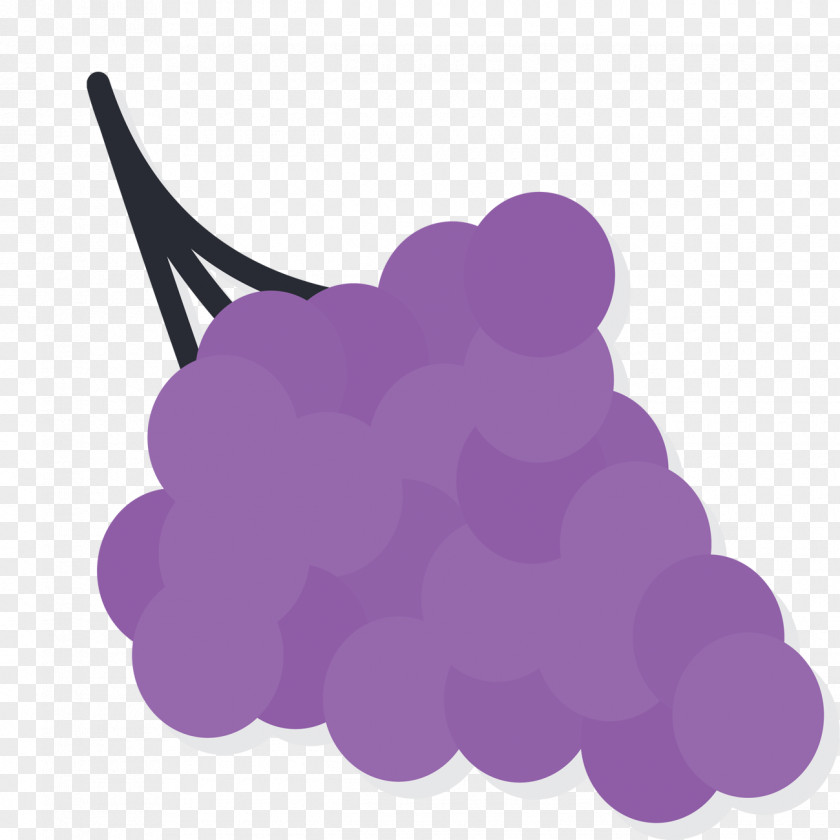 Vector Material Purple Grapes Grape Euclidean Computer File PNG