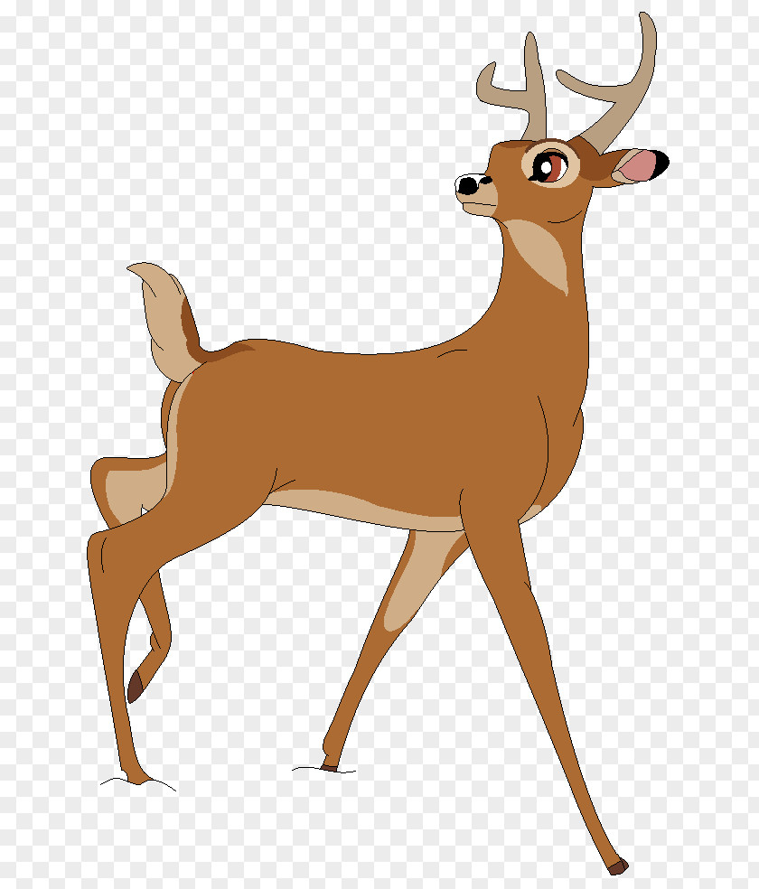 Color Raindrop White-tailed Deer Faline Red PNG