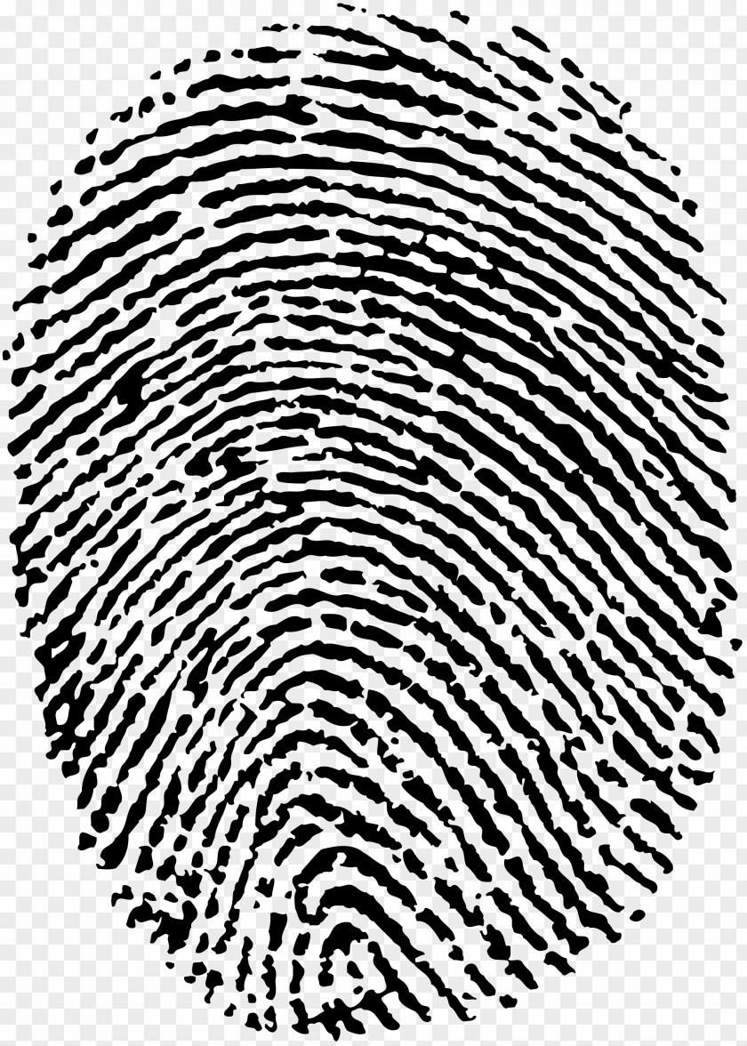 Finger Print Fingerprint Dactiloscopie Digit Dermatoglyphics Fingerabdruckscanner PNG
