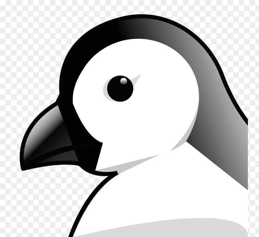 Penguin Chicks Clip Art PNG