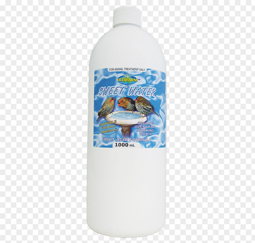 Bird Parrot Liquid Water PNG