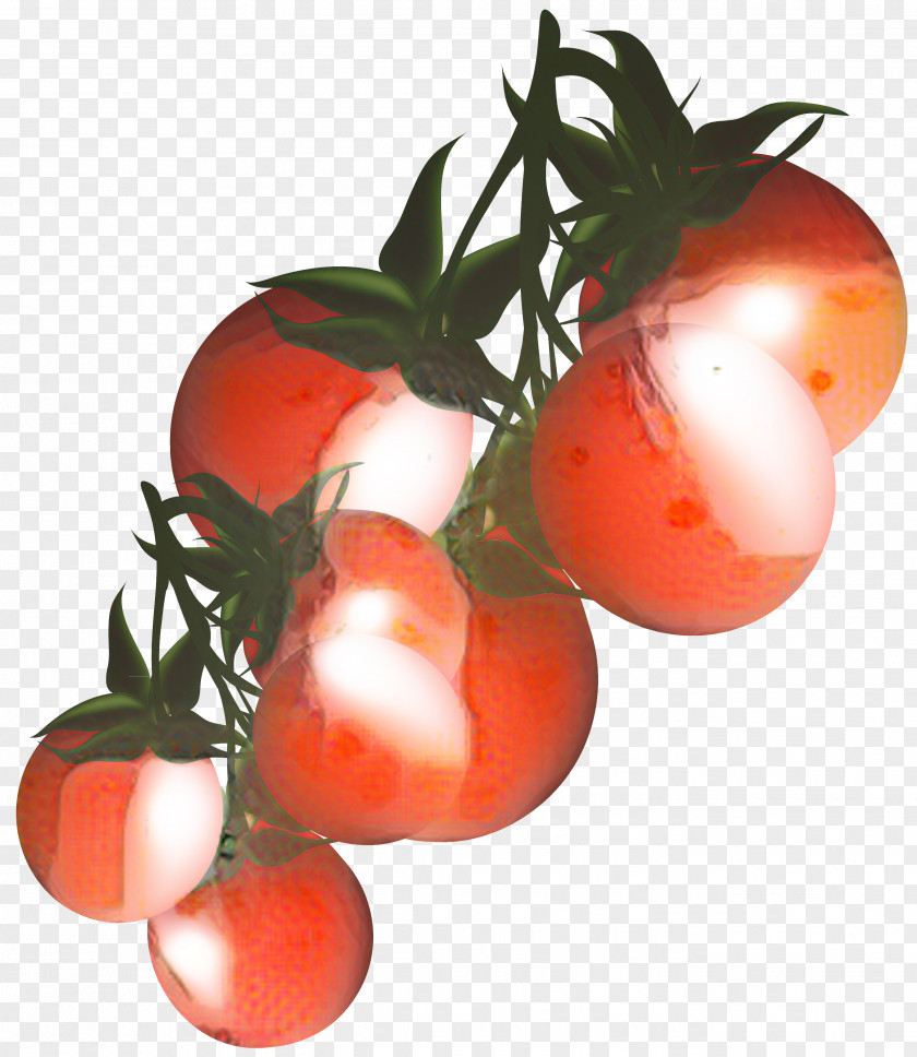 Clip Art Cherry Tomato Vegetable Sauce PNG