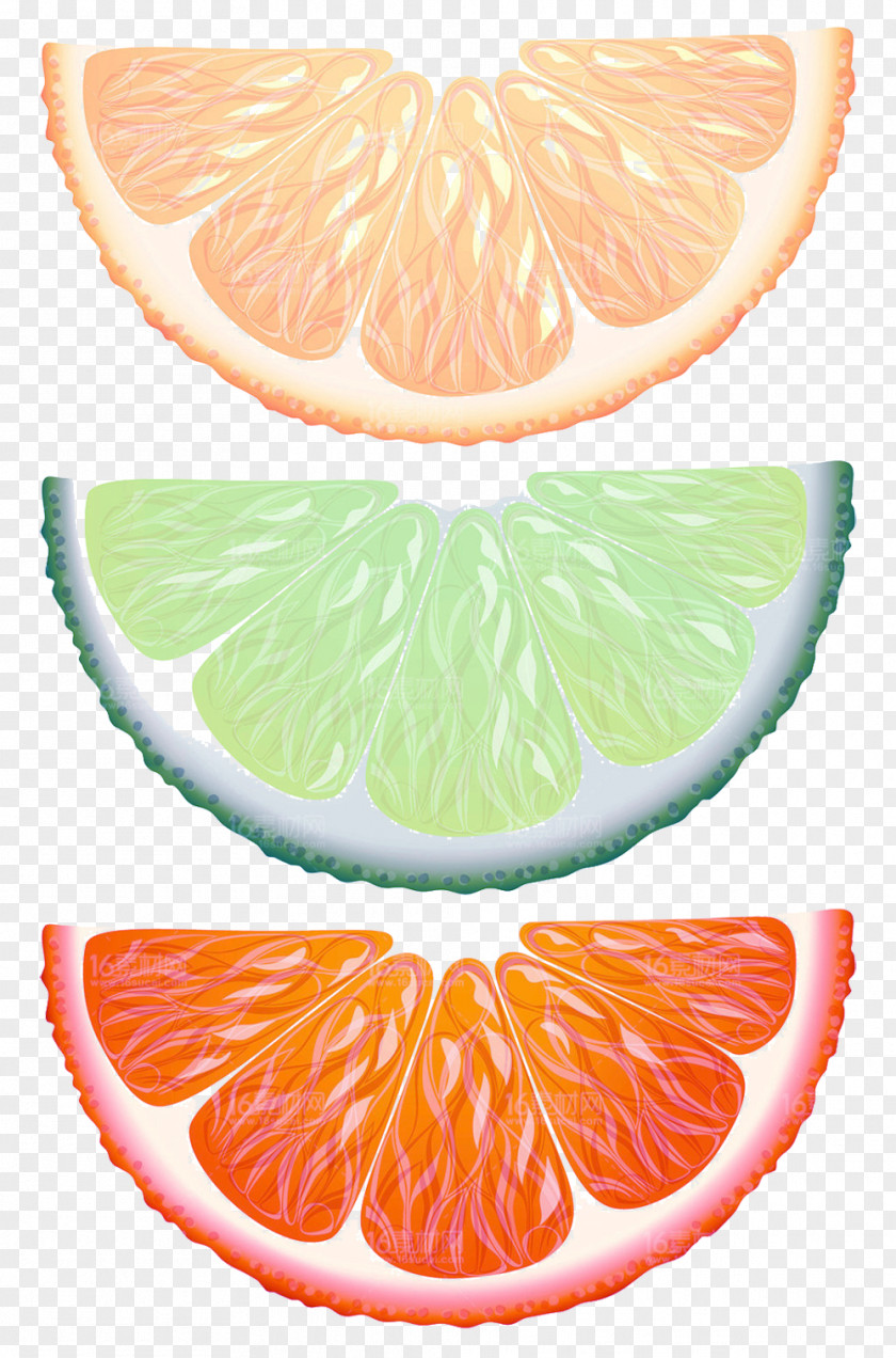 Fresh Lemon Halves Picture Material Key Lime Orange Fruit PNG