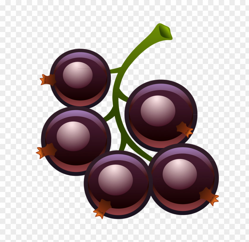Grape Blackcurrant Redcurrant Fruit Zante Currant PNG