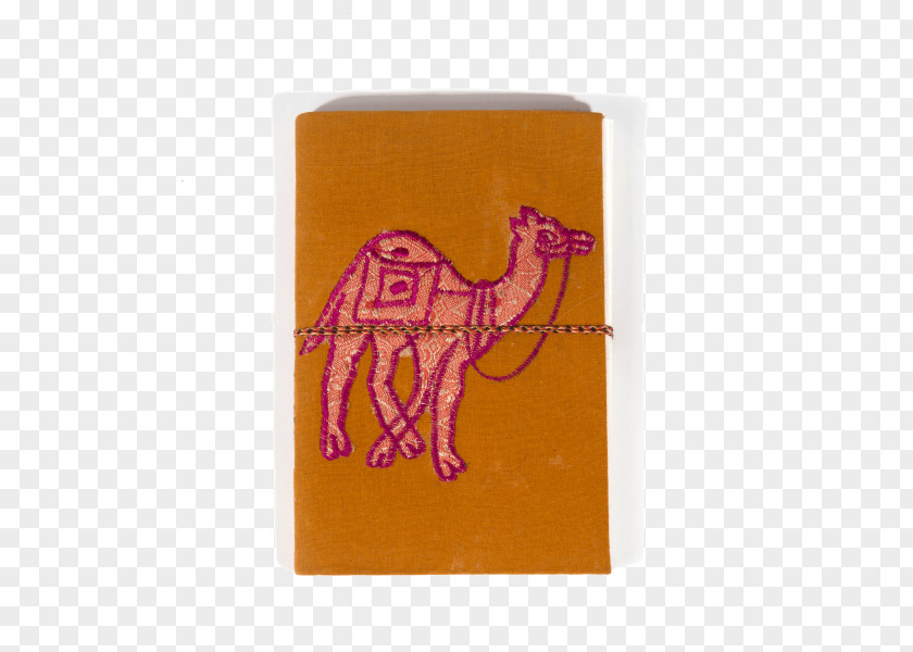 Jewelry Accessories Paper Jewellery Notebook Clothing Dromedary PNG