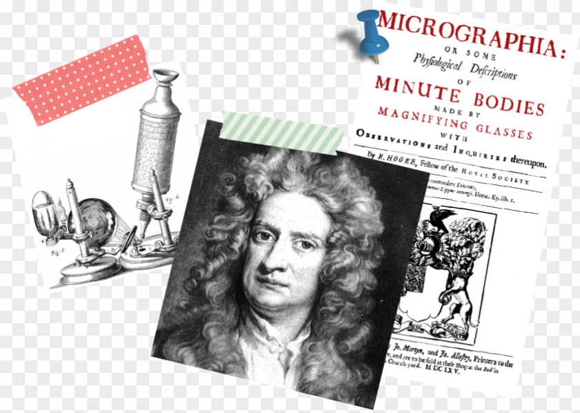 Scientist Robert Hooke Cell Microbiology Microscope PNG