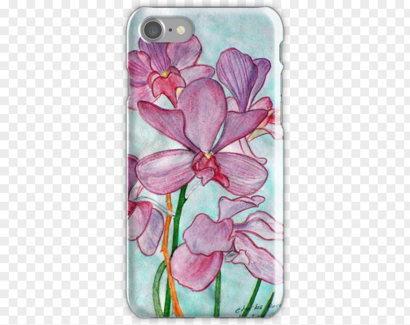 Watercolor Orchid Floral Design Moth Orchids Pink M PNG