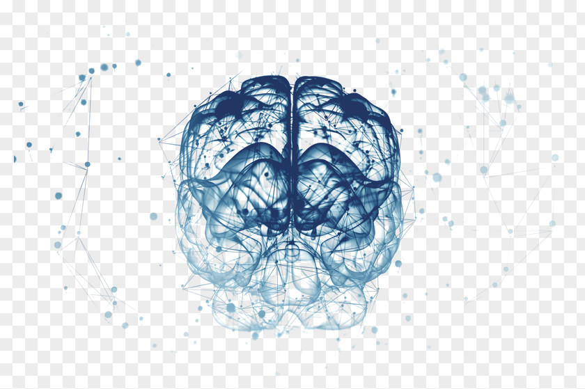 Brain Drawing Desktop Wallpaper PNG