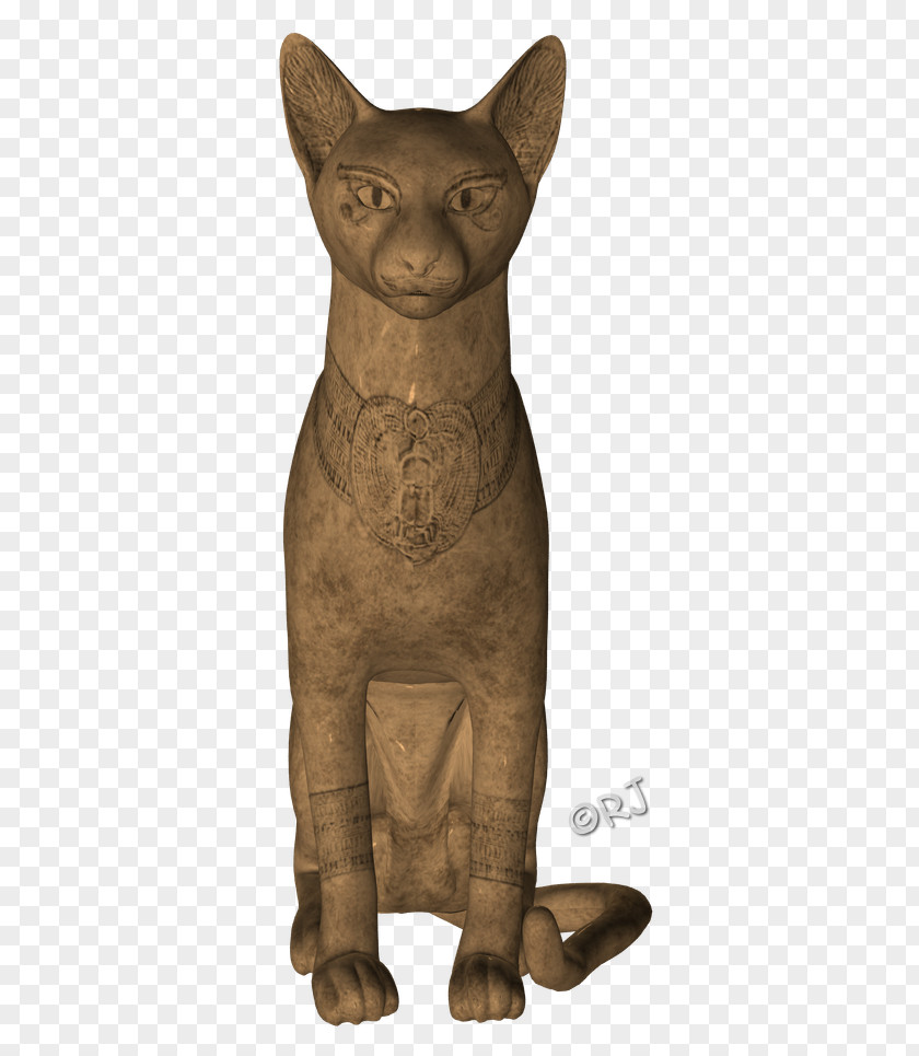 Cat Whiskers Dog Sculpture Snout PNG