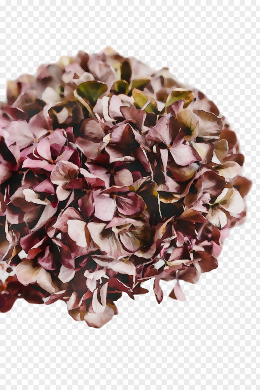 Petal French Hydrangea Flower Lilac M PNG