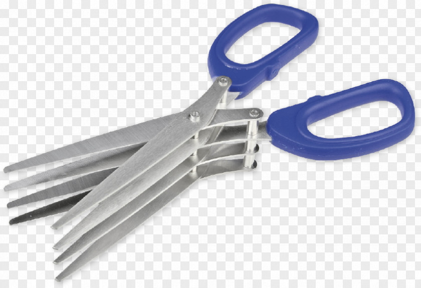 Scissors Worm Carp Knife Angling PNG