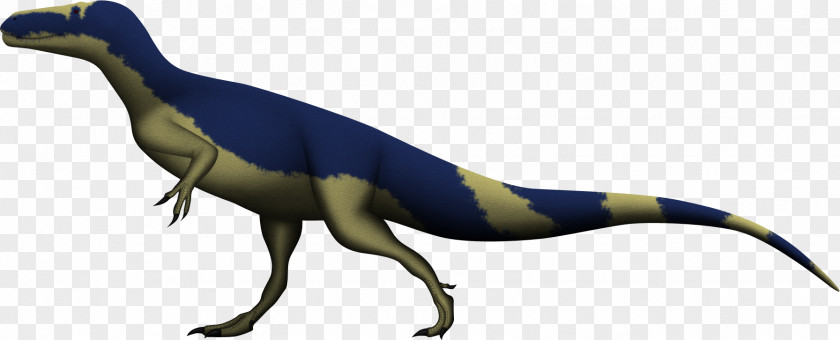 Tyrannosaurus Torvosaurus Velociraptor Reptile Stokesosaurus PNG