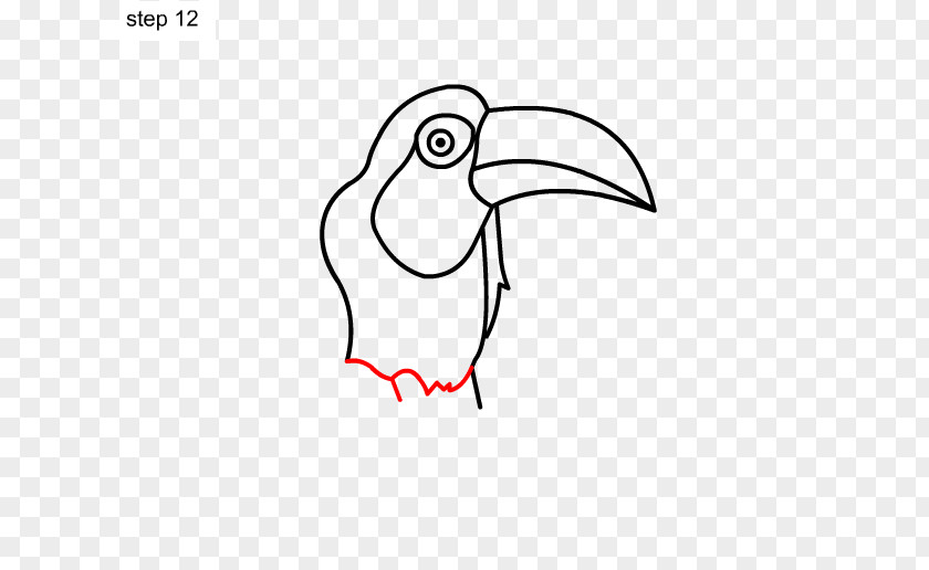 Beak Drawing Line Art Clip PNG