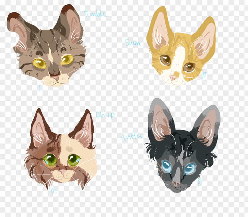 Kitten Whiskers Fauna PNG