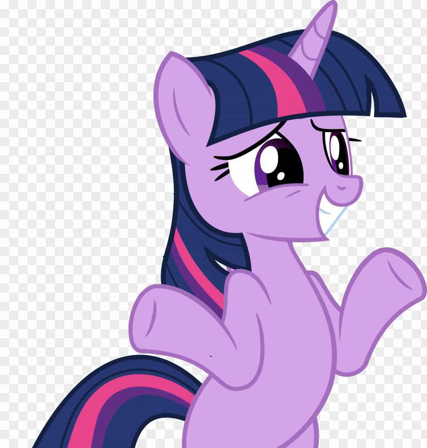 Sparkle Pony Rainbow Dash Twilight Applejack Horse PNG