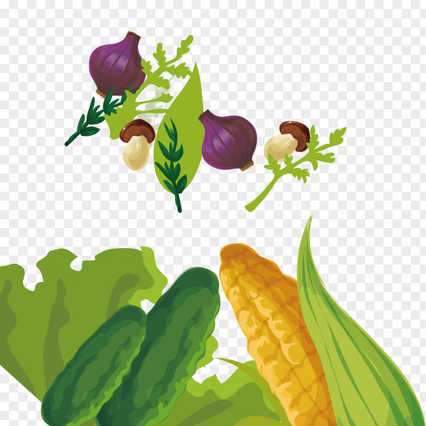 Vegetable Plants Plant Fruit Food PNG