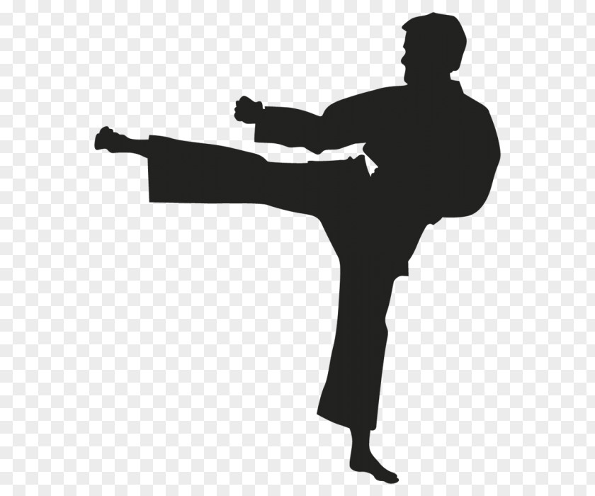 Combat Sport Car Karate Sticker Kyokushin PNG