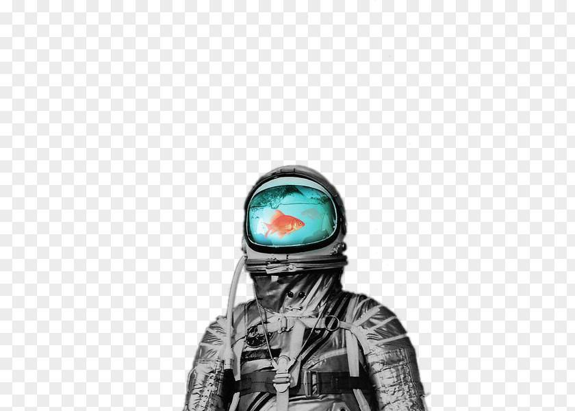 Creative DesignSee The Fish Astronauts United States Astronaut Hall Of Fame Sticker Badge PNG