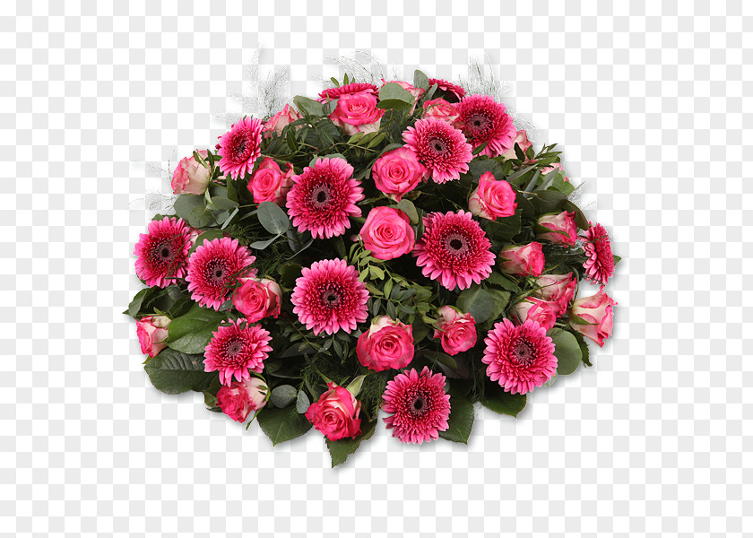 Flower Floral Design Art & Flowers Transvaal Daisy Bloemen En Planten Teeuwen PNG