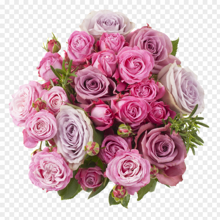 Flower Garden Roses Cut Flowers Bouquet Cabbage Rose Delivery PNG