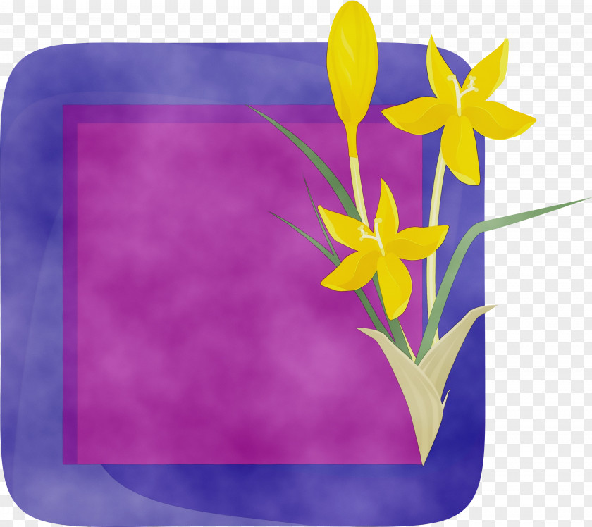 Lavender PNG