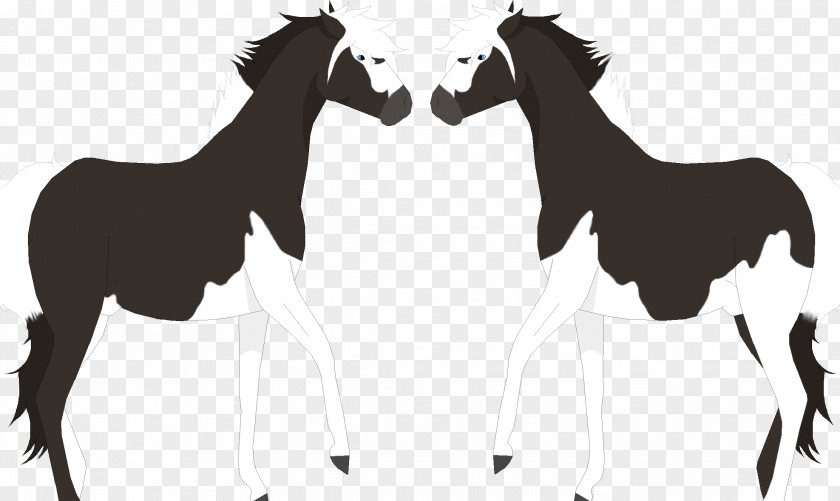 Mustang Foal Stallion Colt Donkey PNG