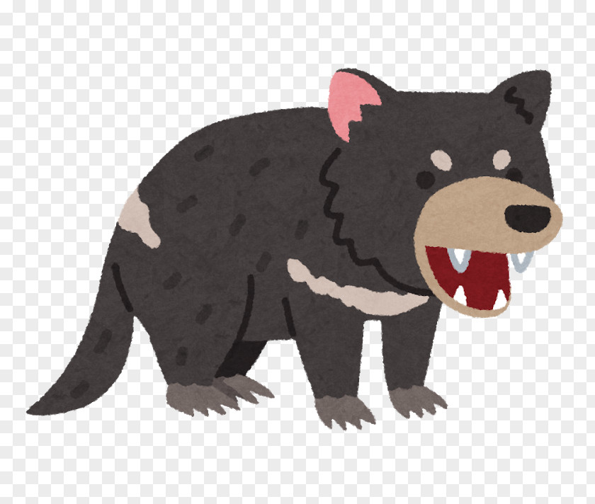 Bear Tasmanian Devil Frog Mammal PNG