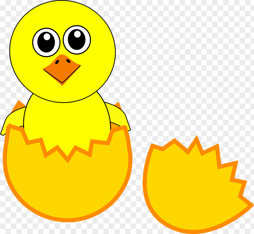 Chick Cliparts Chicken Cartoon Kifaranga Clip Art PNG