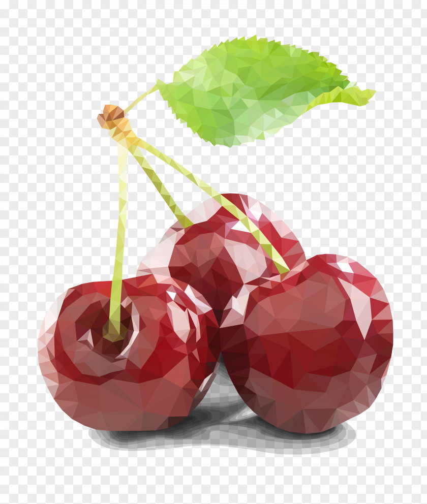 Crystal Cherry Vector Cerasus Sweet Berry Fruit PNG