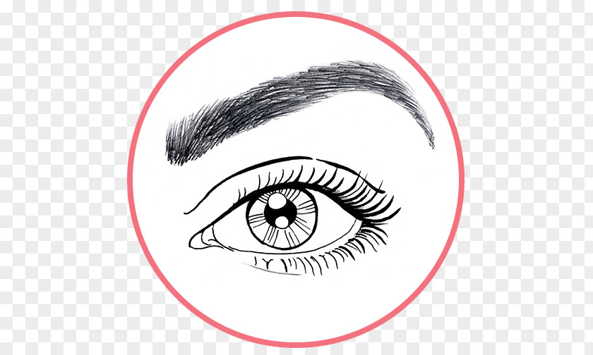 Eye Eyelash Extensions Eyebrow Line Art Forehead Sketch PNG