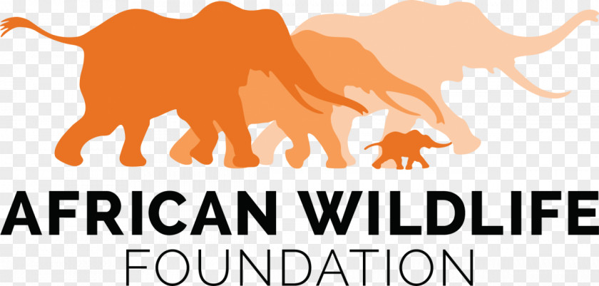 Funds African Wildlife Foundation Organization Elephant PNG