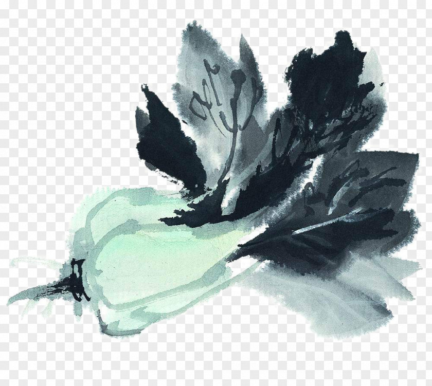 Ink Cabbage Wash Painting Chinese Napa Vegetable PNG