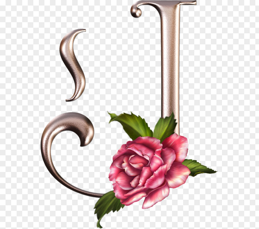 Lettering Alphabet Flower Rose Letter Case J Initial PNG