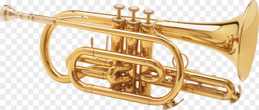 Trumpet Musical Instrument PNG