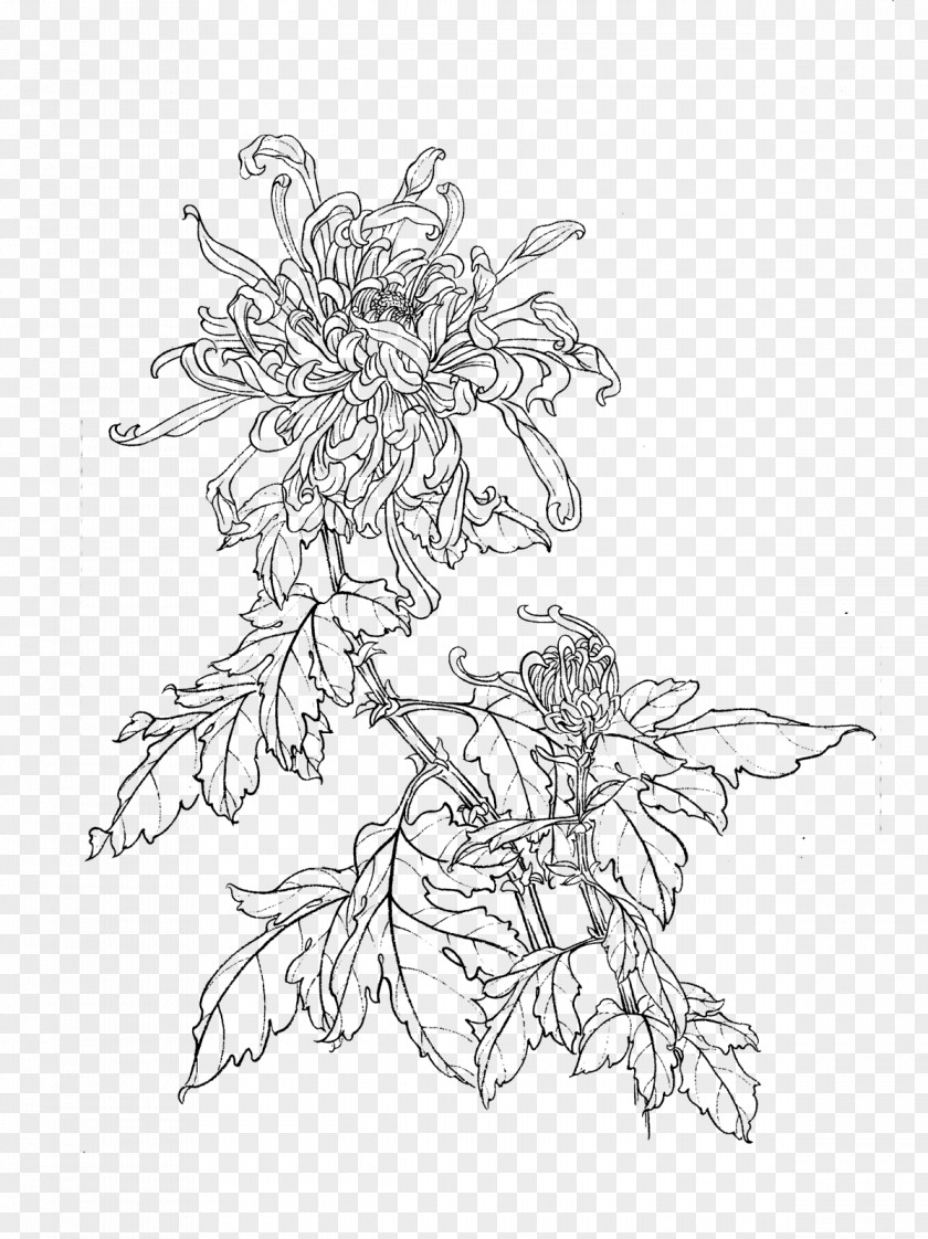 Chrysanthemum Line Drawing Gongbi Manual Of The Mustard Seed Garden Painting China PNG