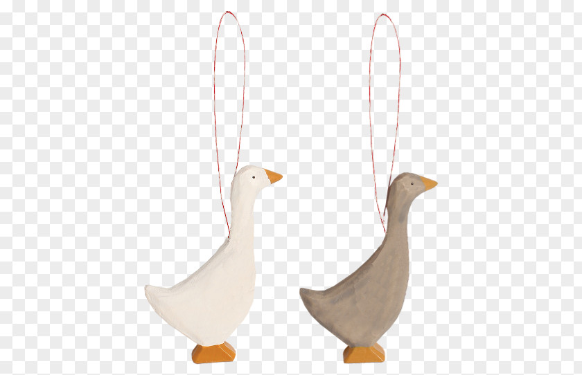 Duck Goose PNG
