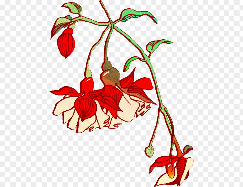 Flower Floral Design Cut Flowers Plant Leaf PNG